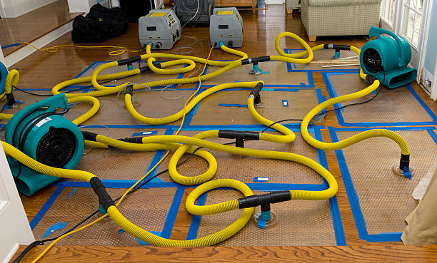 Professional Water Extraction technician working in Franklinville, NJ